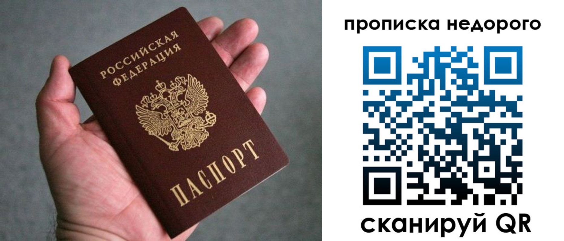 прописка поиск в Домодедово